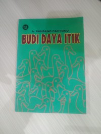 Budi Daya Itik